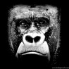 T-Shirt Silverback