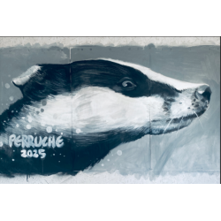 Calendrier 2026 / série limitée